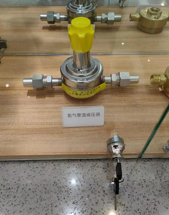 What are the advantages of purchasing the Biao Wang intelligent liquid level gauge compared to other brands